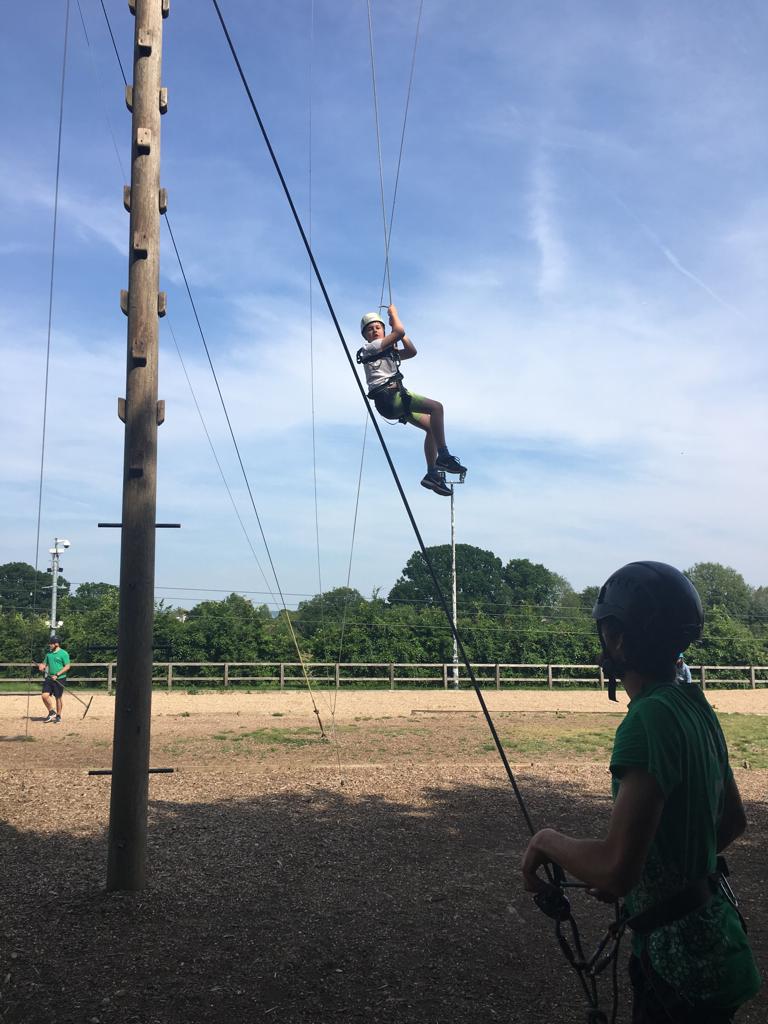 Upton Primary School tweet media