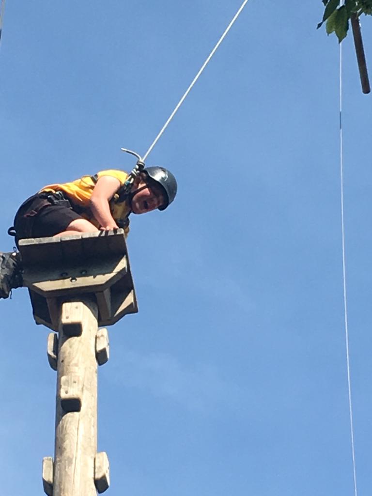 Upton Primary School tweet media