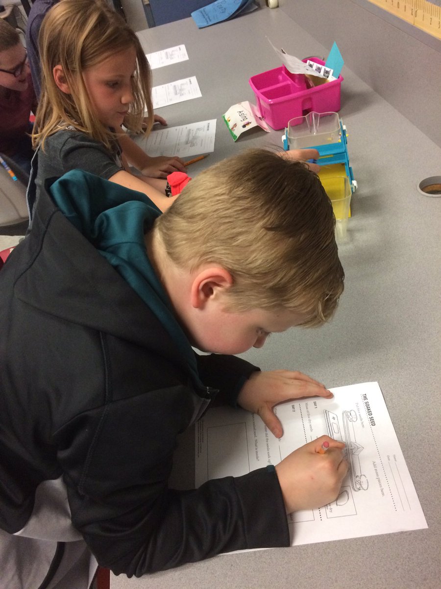 spenghsasd's tweet photo. Will soaking Lima Beans in water overnight cause changes to the bean’s properties? Let’s start this investigation by weighing the beans and listing its observable properties. #structuresoflife #FOSS @SASD_SalfordHil https://t.co/1B35YFhKM3
