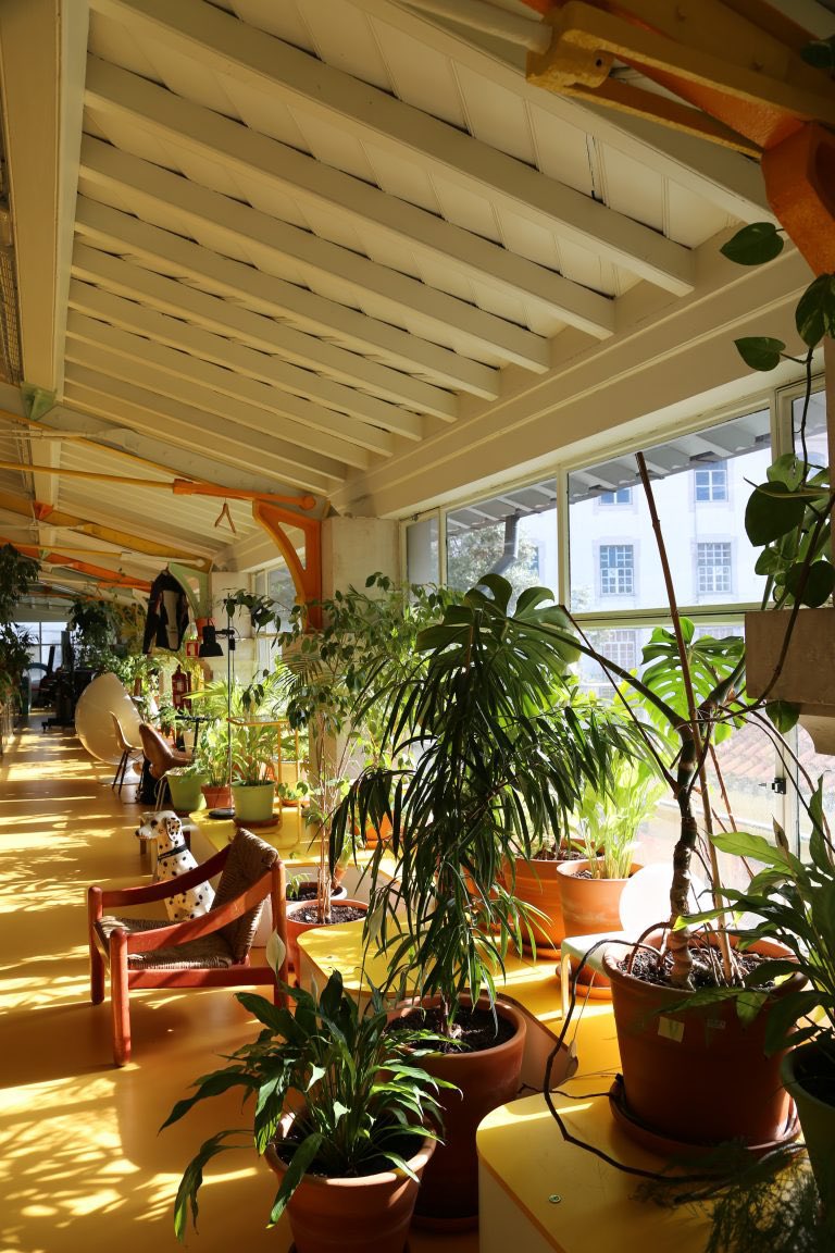 Dulux Study Tour tweet media