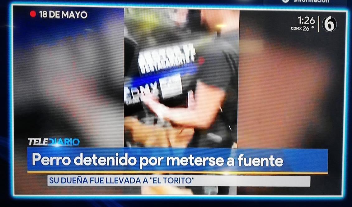 mikefco_'s tweet photo. Vaya nivel de exigencia de las autoridades. Ojalá así fueran para todo. @GobCDMX
Les recuerdo que necesitamos vigilancia porque también #EstanMatando https://t.co/GoYL32PDWZ