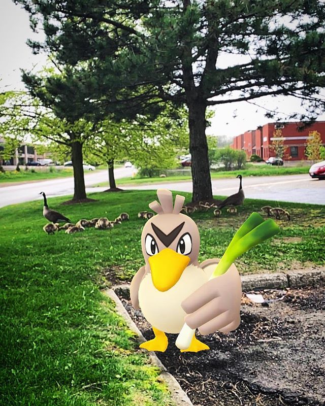 JoltSw1tch's tweet photo. #farfetchd guarding the little goslings as they get some food.
#pokémon #pokemongo #pokemongo🎮 #pokemonfun #arplus #arplusmode #arpluspokemongo #pokemonphotography #pokemonphoto #pokemonphotos #pokemoninnature #pokemoninthewild #pokemonmasters #gosnapshot https://t.co/EN2dBoPSw8