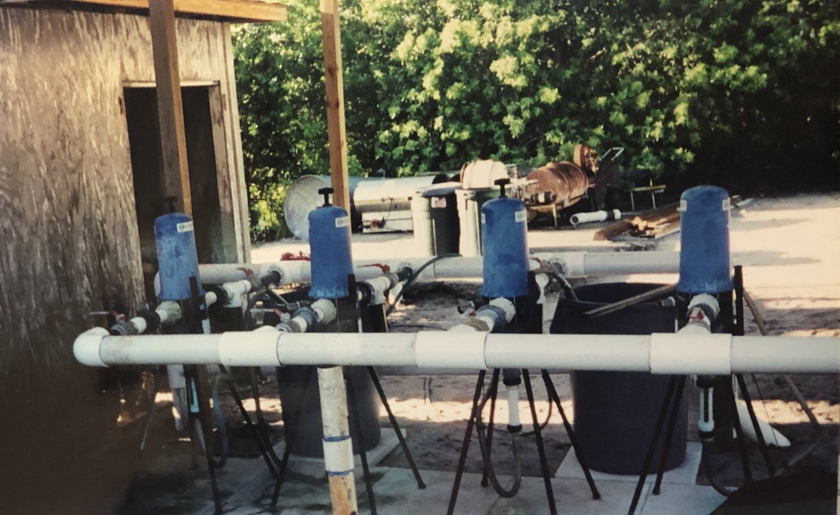 Dosatronusa's tweet photo. Throw Back Thursday to Dosatron Injectors installed in parallel for 400 GPM. Contact us today to speak with an installation specialist, to learn more about our parallel installations. 1-800-523-8499

#Dosatron #TBT #HiFlo #Injector #plants #grow #hort #hemp #hydro #outdoor https://t.co/VxQk3yjH0i