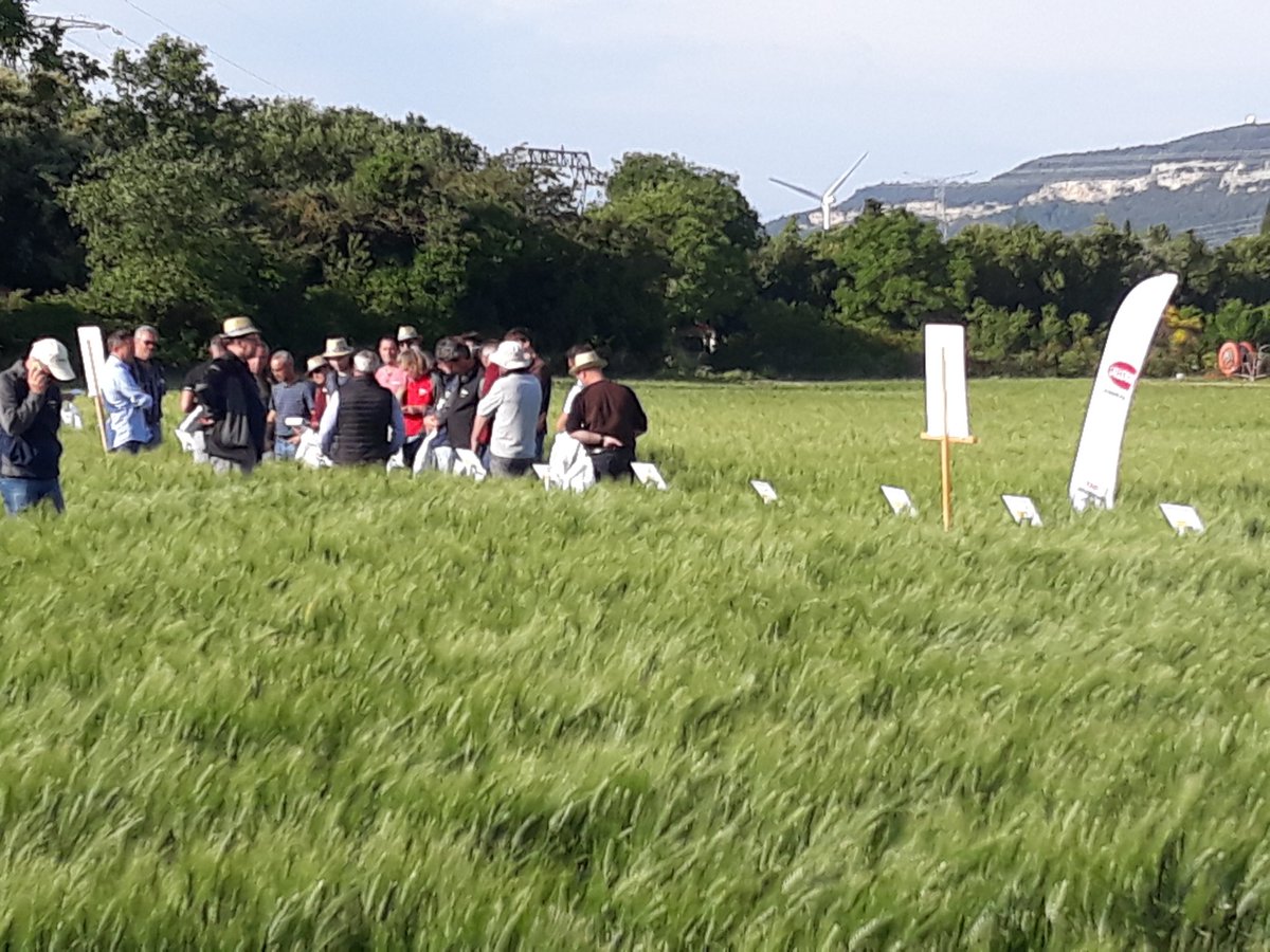 pommeallauch's tweet image. Visite d essai céréales #groupeperret variétés tolerantes,agriculture meteo connecté @sencrop ,fertilisation et biocontrole .les conseillers de demain se forment #agriculture