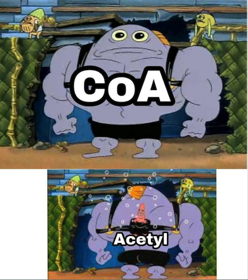 ChemCruz_Chems's tweet photo. #Biochemistry #ScienceHumor #Funny #SpongeBobSquarepants #Acetyl #CitricAcid #oxidizing #energy #reactions https://t.co/SkfdYhfxKu