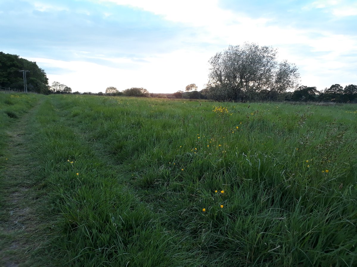 Alex Armstrong tweet media