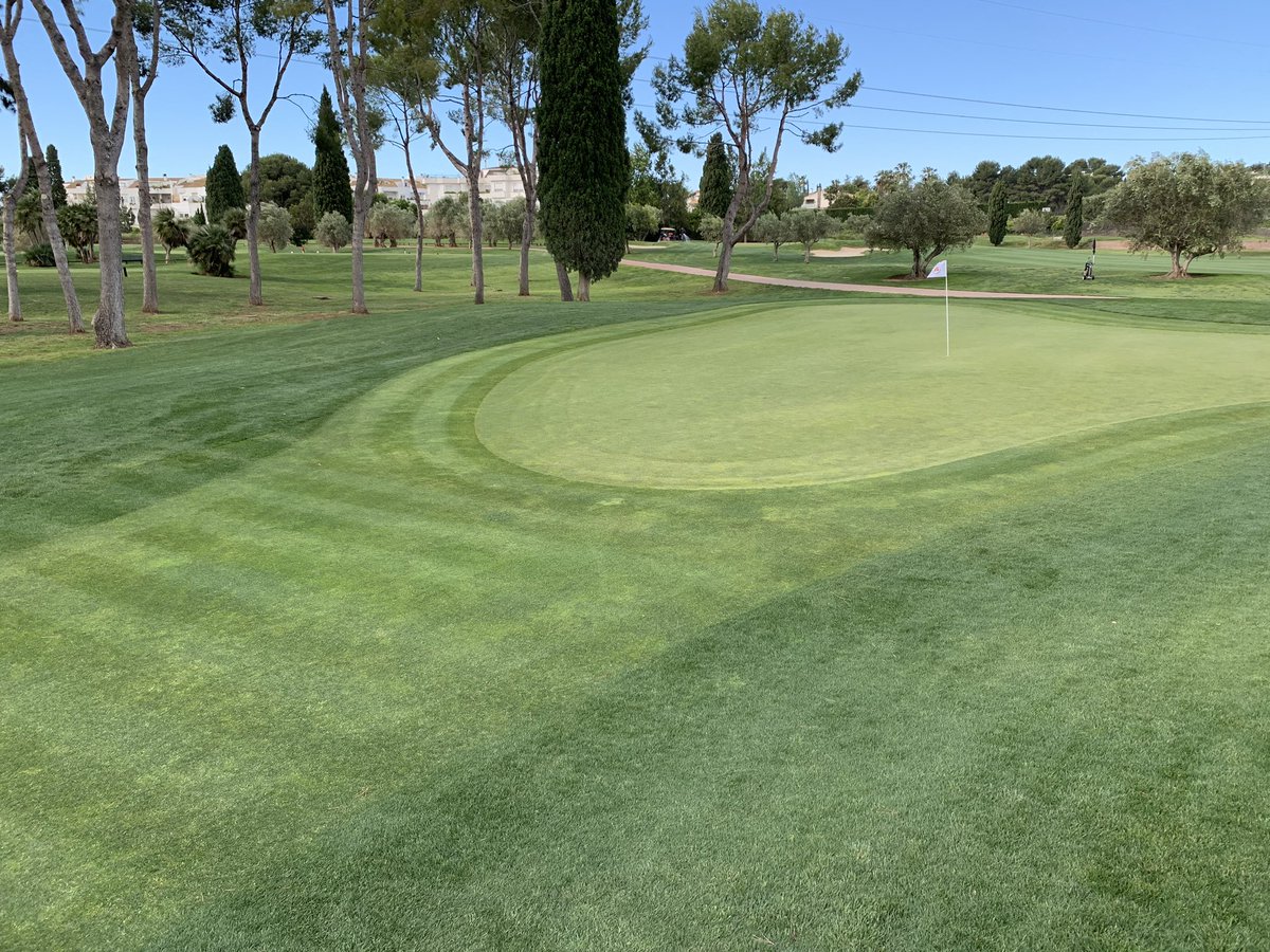 llorcaAgronomy's tweet photo. What a day to play golf!!! Perfect wheather and very good conditions to play Mercedes Trophy at Club de Golf Escorpión #merdeces #Greenkeeping #superintendent https://t.co/ukgeCq0UlG