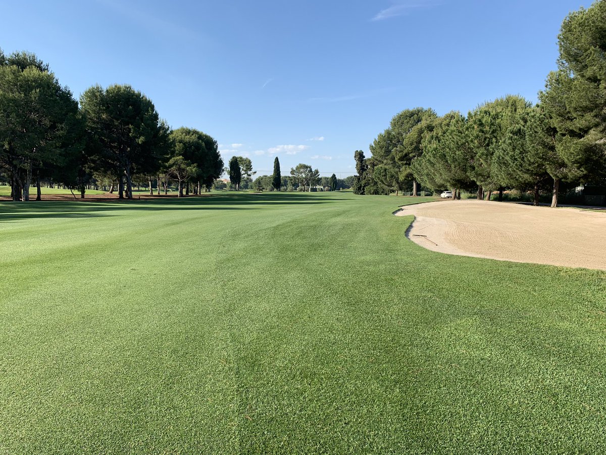 llorcaAgronomy's tweet photo. What a day to play golf!!! Perfect wheather and very good conditions to play Mercedes Trophy at Club de Golf Escorpión #merdeces #Greenkeeping #superintendent https://t.co/ukgeCq0UlG