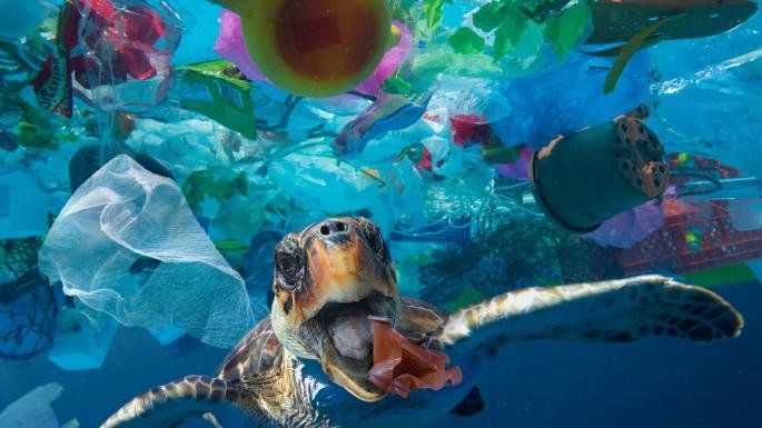 1WorldByTheSea's tweet photo. Today is World Turtle Day. We think the photo says it all.
"We don't need a handful of people doing zero waste perfectly. We need millions of people doing it imperfectly." @zerowastechef
#passonplastic #bethechange #beachclean #recycle #lesswaste #OWBTS #bournemouth #beach https://t.co/mhE79dZGOT