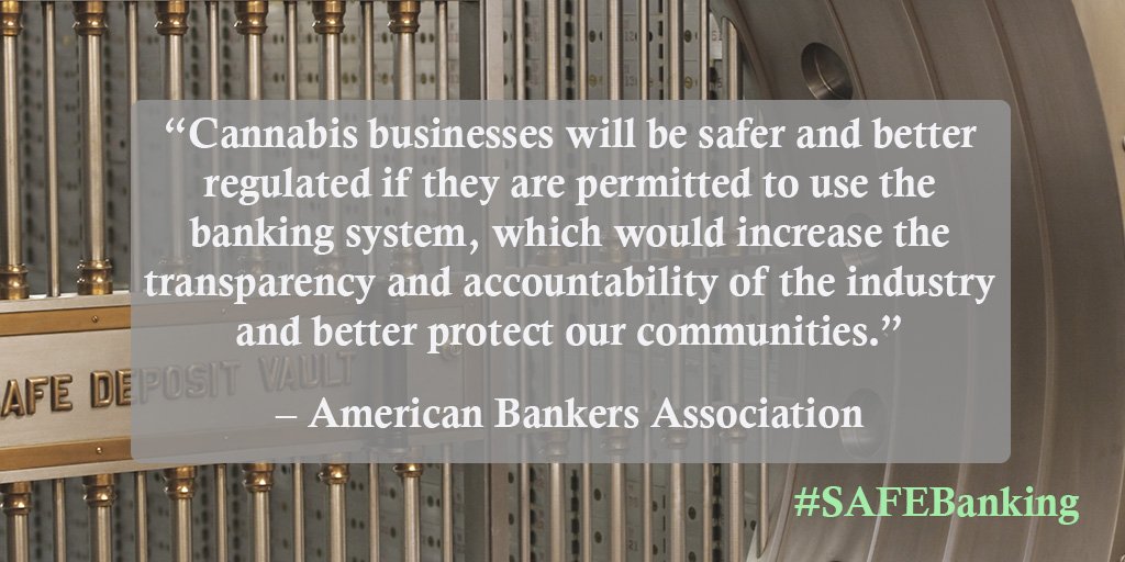RepPerlmutter's tweet image. Federal banking laws were designed to prevent illicit activity &amp;amp; help law enforcement do their jobs. These laws need to be applied to legitimate marijuana businesses to improve transparency, accountability. Thanks to the @ABABankers &amp;amp; many others for your support of #SAFEBanking.