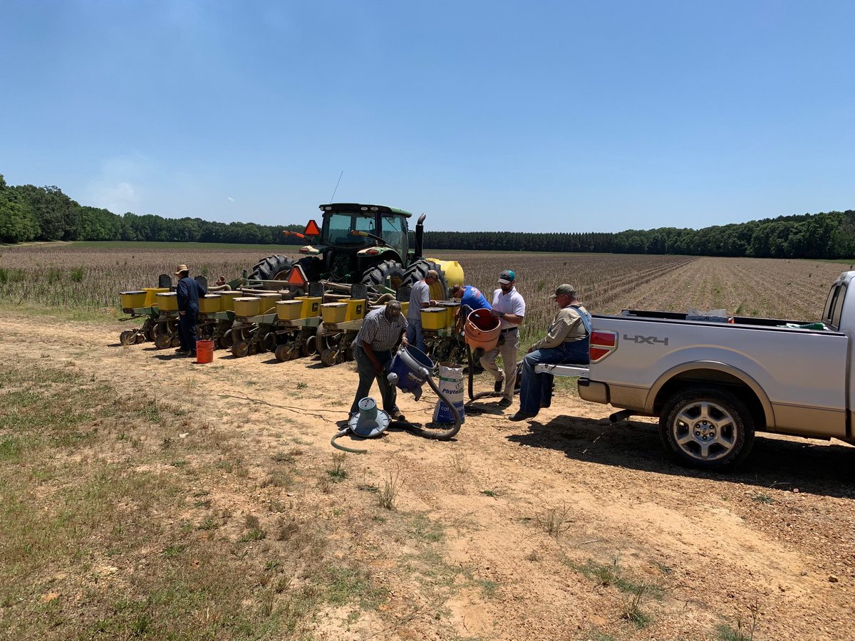 Dennis Reginelli tweet media