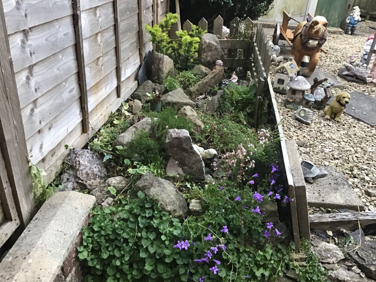 Jasonevans (@jasonev17800561) on Twitter photo 