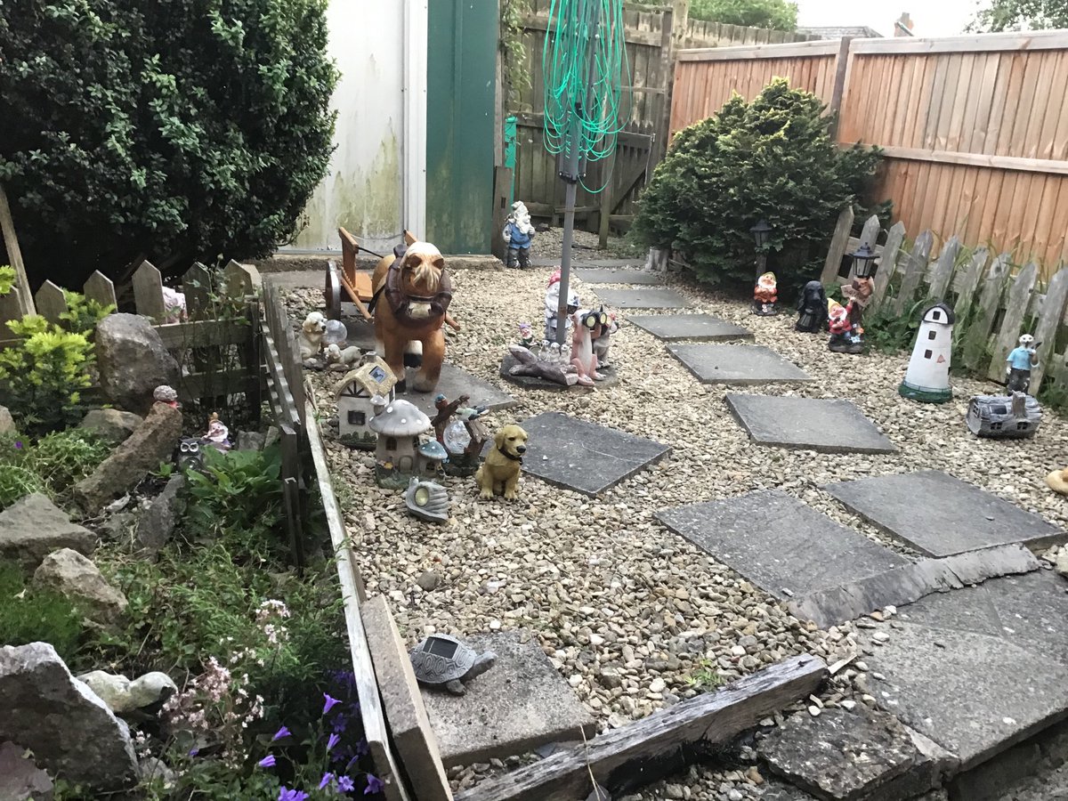 Jasonevans (@jasonev17800561) on Twitter photo 