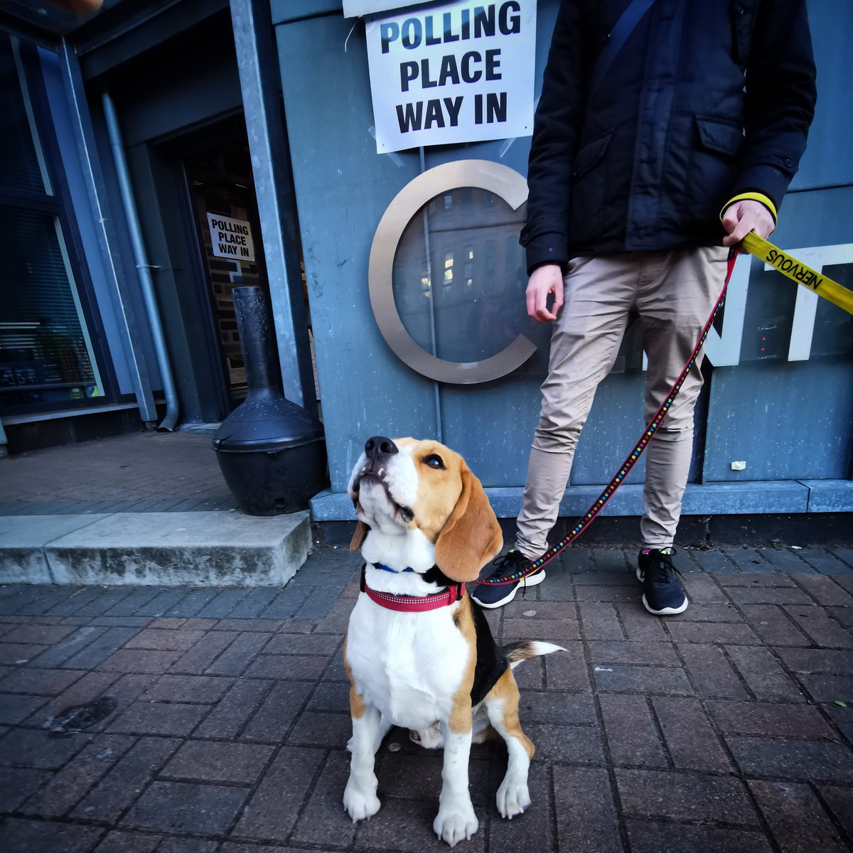 PabloOfGlasgow's tweet photo. I like this voting malarkey.
#euelections2019 #VotesForDogs #snp #EuropeanElections #DogsAtPollingStations #DogsatPollingPlaces #DogsAtPollingStations2019 #beaglesofglasgow #beagles #beaglingaround #houndsofglasgow #houndsofcalton #houndingaround #HoundDogs https://t.co/RtAVozoBW3