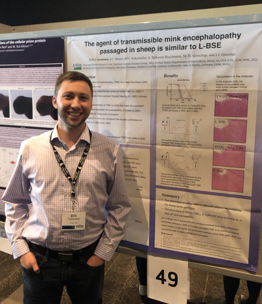 GreenleePrion's tweet photo. Want to learn more about animal prion diseases? Check out these two awesome #PRION2019 posters from Greenlee prion group postdocs, Najiba Mammadova (#242) and Eric Cassmann (#49). https://t.co/7acjeZ0WTG