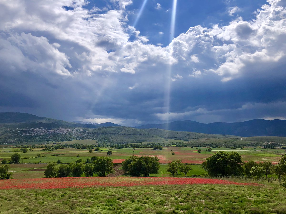 Fioritura della valle del tirino in Abruzzo con bikelife. bikelife.it <a href="/ValledelTirino/">Valle del Tirino</a> <a href="/abruzzofacebook/">Regione Abruzzo</a> <a href="/HikingAndNature/">Hiking & Nature</a> <a href="/bikelifelive_/">Bikelife live your passion</a>