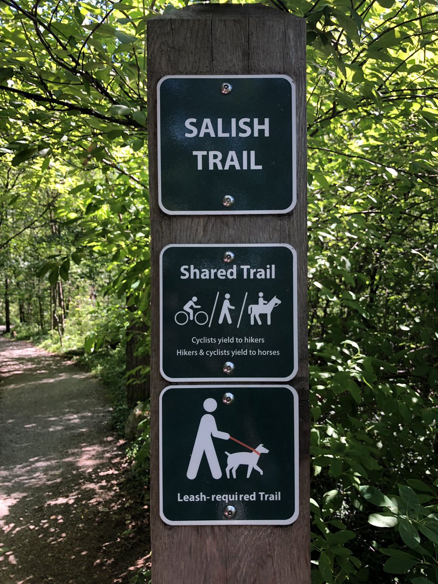 kmac_50's tweet image. Sword fern students @RosePointSchool identifying the indigenous plants on Salish Trail #OutdoorClasroomDay