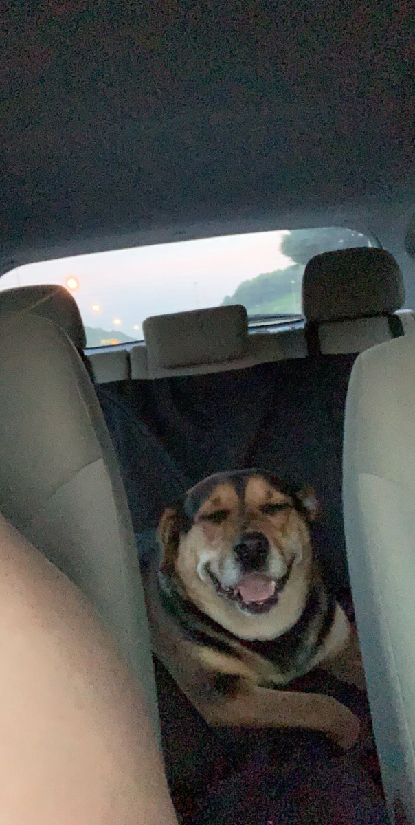 Brie ✨ tweet media