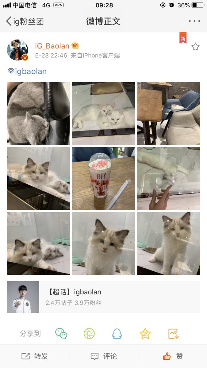 61kindergarten's tweet photo. 🐱🐱🐱 https://t.co/H8JLaMXMJ1