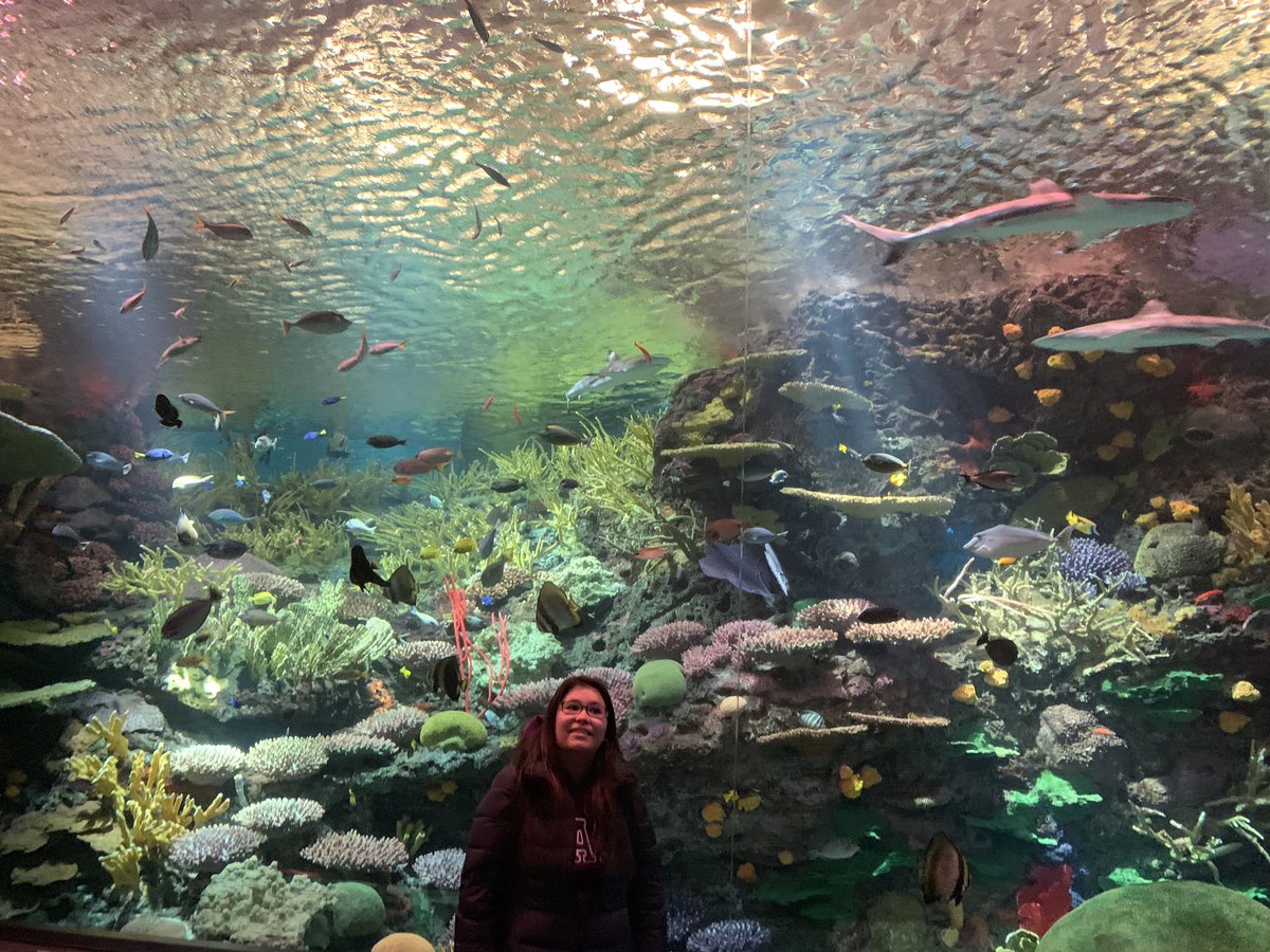 katyvisita's tweet photo. 📍 Aquarium de NYC
.
La visita al acuario me encanto, disfrute recorriendo el lugar, me asombre de los muchos peces igual que una niña pequeña
#aquarium #nyaquarium #nycity #nyc #newyork #travelnyc #nuevayork #rlbv #redblogueros #molaviajeros #katyvisitaNYC #katyvisita https://t.co/rHhYRQzxfs
