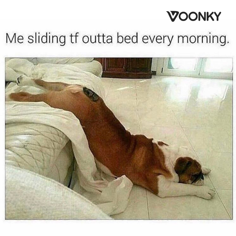 Voonky2's tweet photo. Who else can relate this?💤😴

#Voonky #sleepy #sleepy #alwayssleepy #notmorningperson #insomnia
#memesdaily #dailymemes #sleepmeme #sleepadvice #insomniac #mattress #mattressguide #Sleepyhead #reviews #sleepcare #FridayFeeling #Friday #FridayThoughts #sleepapnea #bettersleep https://t.co/GfMIzBgd1w