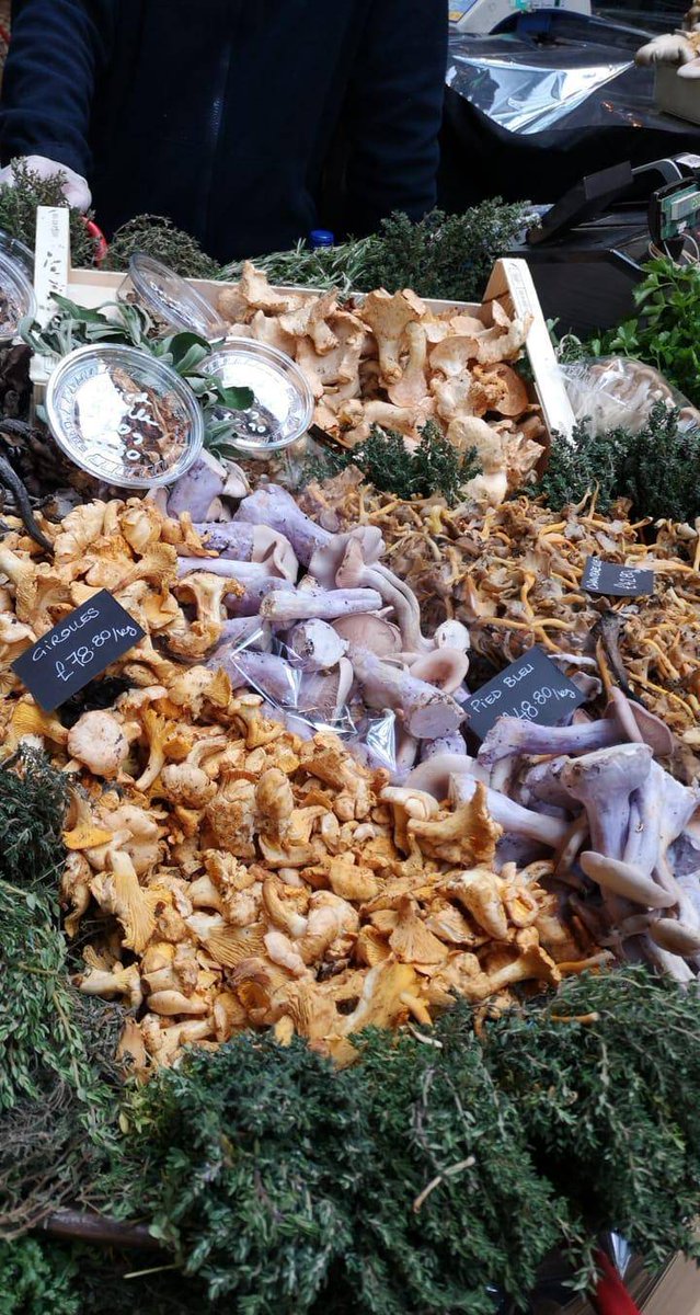 Throwback to these stunning mushrooms on my last visit to London!! I was like a kid in a candy shop! They were stunning! #alwayslearning #mushrooms #chefslife #chef