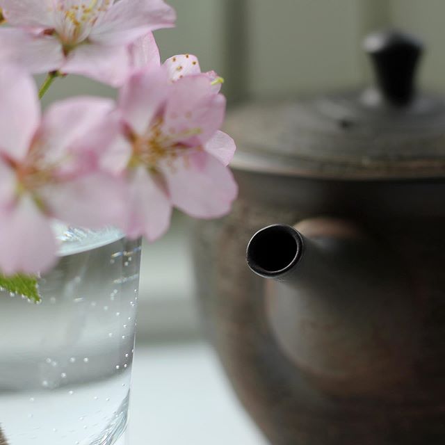 Tea89Noir's tweet photo. Spout 🍃🌸
.
.
.
.
#tea89noir #tea #cha #teatime #teaculture #sencha #tencha #matcha #greentea #gyokuro #japan #china #norway #teadrunk #streettea #matcha #gaiwan #kyusu #teapot #instatea #nature #art #photooftheday #お茶 #抹茶 #お茶の時間 #煎茶 #玉露 #急須 https://t.co/LTlkcRzb8Q