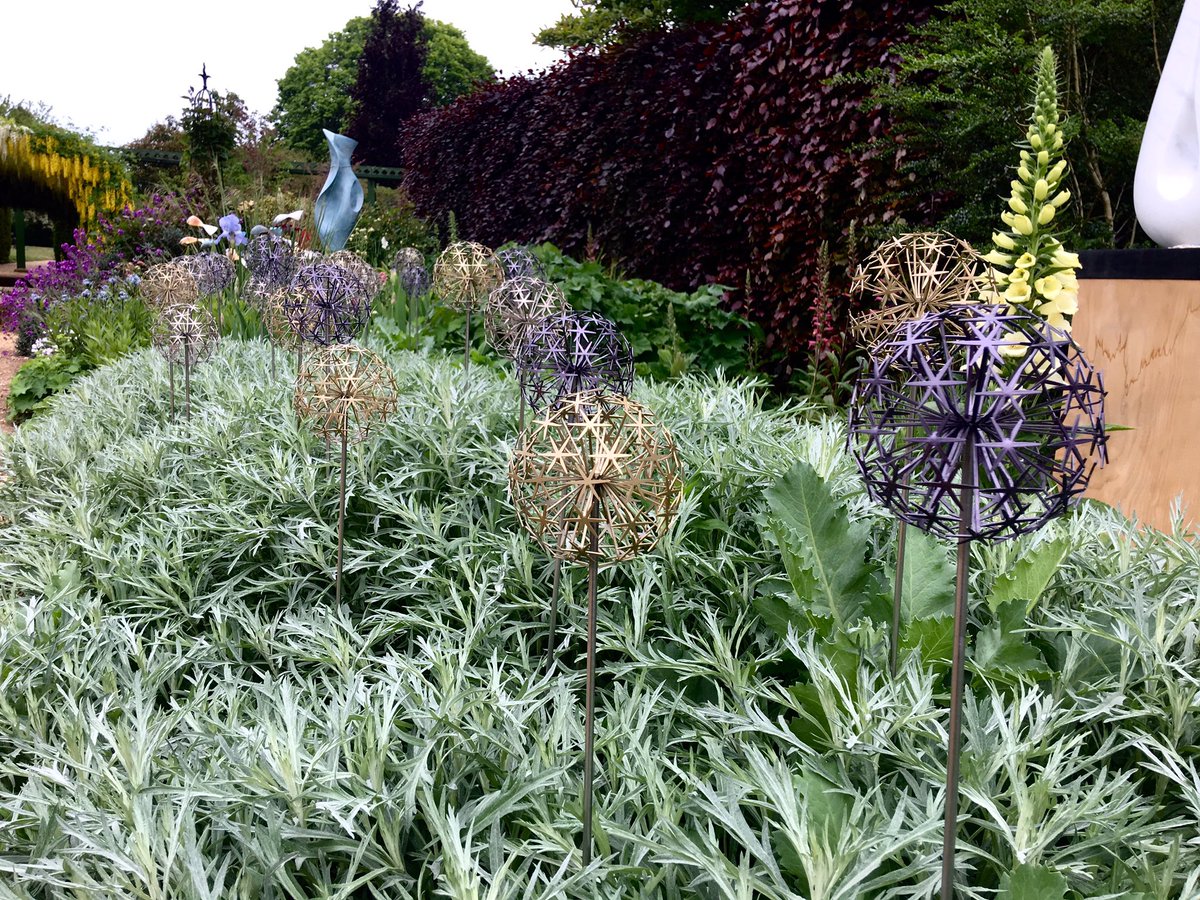 Ruth Moilliet tweet media