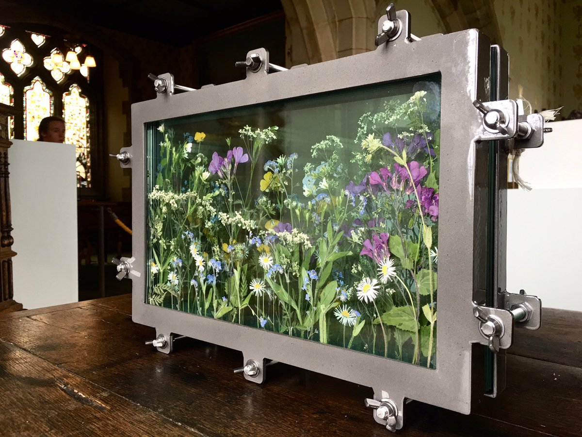 Ruth Moilliet tweet media