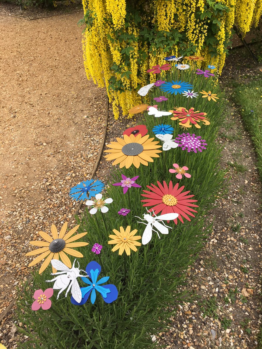 Ruth Moilliet tweet media