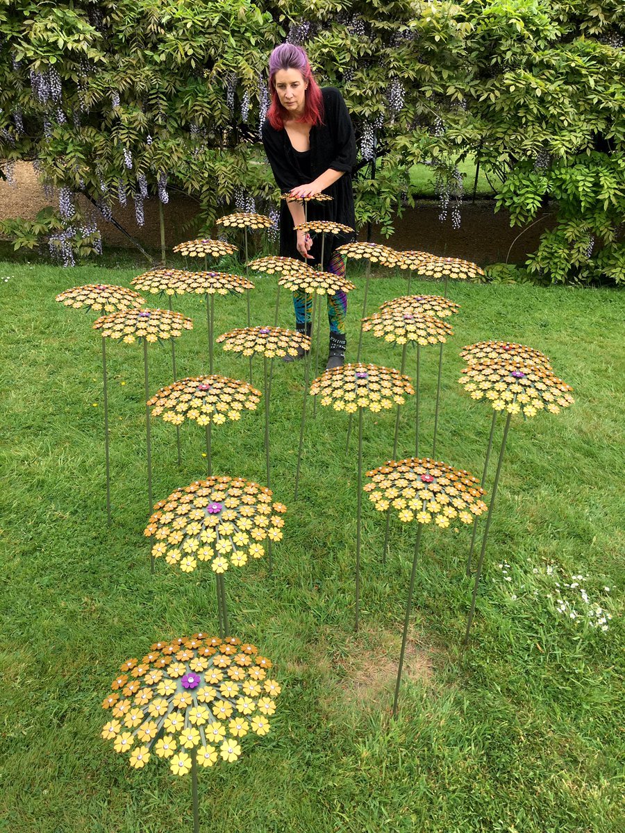 Ruth Moilliet tweet media