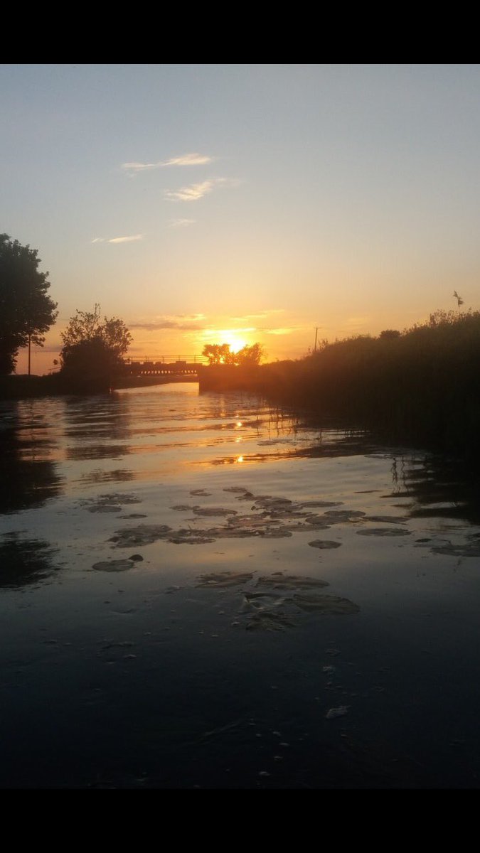 Fenbeast_Pub's tweet photo. Awesome #fenland sunset from the Eelman’s drain-eye-view this evening.
#fens #eelmanchronicles #eels https://t.co/aCmdPTy11y