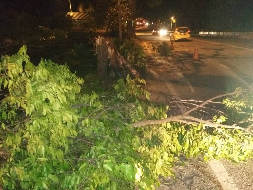 RC_temerloh's tweet photo. kerja #kecemasan membersihkan #pokoktumbang di #ft10 #sec104 #bera #teamroadcare @Roadcare_Phg @kpkrjkr @baru_bian @HjAnuarTahir @CSFJ_JKR @MOWorks @JKRMalaysia @Roadcare_Phg @JKRPAHANG @JeDi_Bera @BeraJkr @Roadcare_Msia https://t.co/SgCwSl2eQ4
