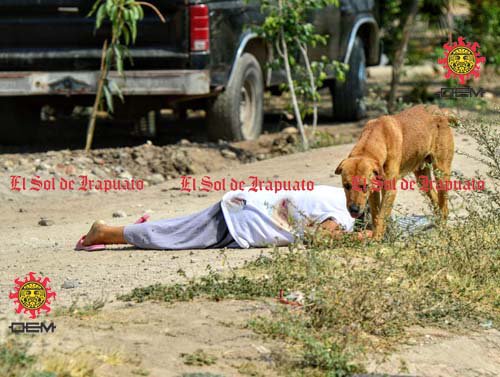 SoldeIrapuato's tweet photo. #Policíaca 🚨 | Asesinan a balazos a mujer en La Calera
https://t.co/OZYoVU8jc8 https://t.co/jbdK6a1JxD