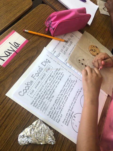 Williams_BCSD's tweet image. Can you dig it? Ms. Vega’s fabulous fourth graders engaged in some sweet scientific stimulation today! 🐾🔎🦁#TheyCanDigIt #DiggingForFossils #GoWildcats #TeamBCSD