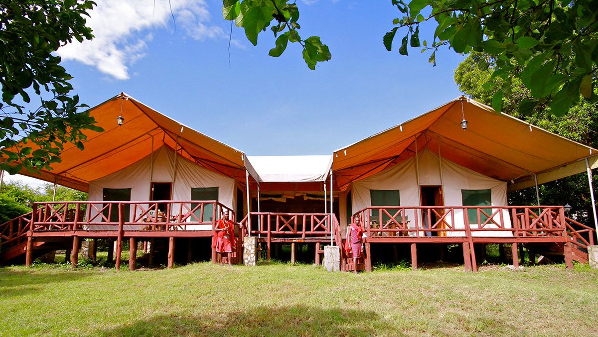 WildSignature's tweet image. #BestofKenyaTanzania #Safari  wildsignaturesafaris.com/kenya-tanzania…