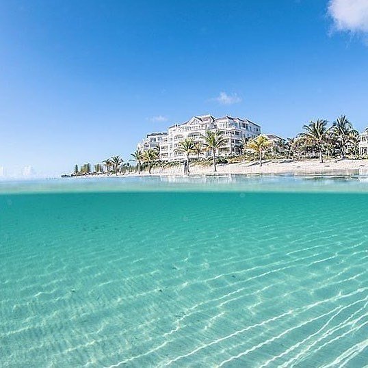 ShoreClubTC's tweet photo. So great to meet everyone this week at #ultra19
Remember- come to Turks and Caicos! The perfect place to relax after such a hectic few days...
#paradiseawaits #turksandcaicos #shoreclubtc #thepalmstc #teamtci https://t.co/BlSmejlApt https://t.co/xKWIzaMLJ4