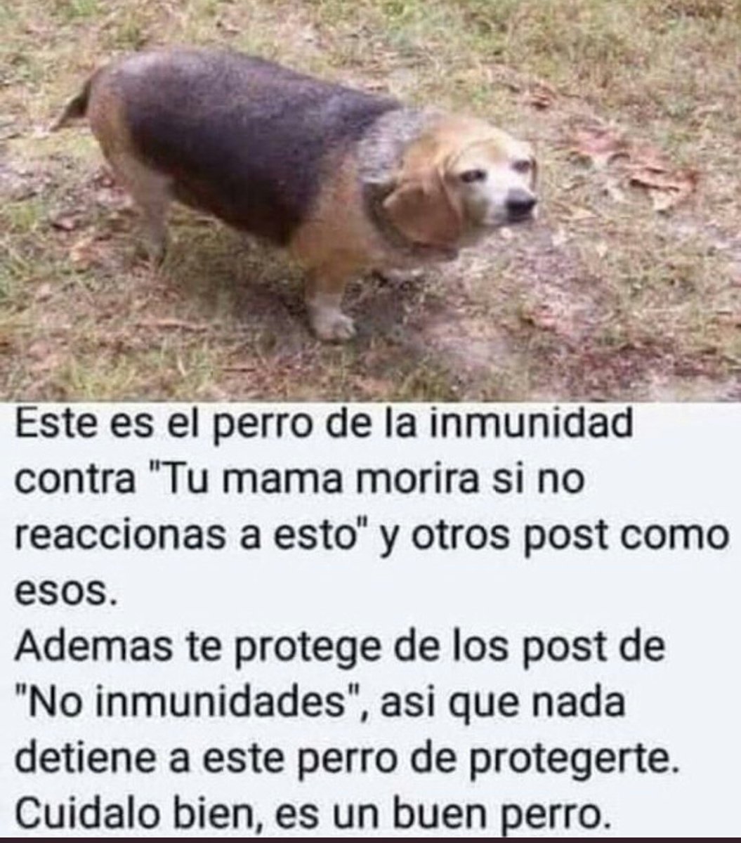 MorritaUna's tweet photo. @zientekk_ @T81353952 https://t.co/SUvCmZGRxB