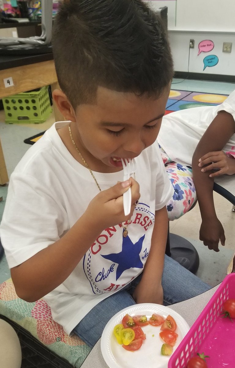 Mrs_GTyree's tweet photo. @CorneliusElem Gardening Club we learn how to prepare and eat the food we grow! We encourage our students to eat healthy, fresh foods daily. Today we prepared a quick dressing & tomato basil salad! @JMGKids #juniormastergardeners
#STEM #outdoorlearning #WeAreCornelius https://t.co/HZqfNdXHSR