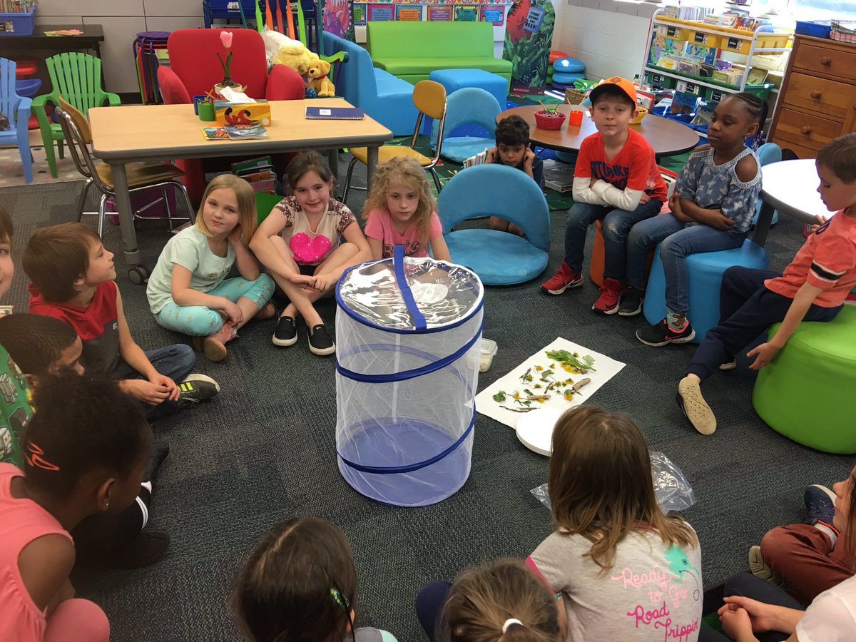 Filipsclass's tweet photo. First Graders making a Butterfly Habitat today. @Jyouanes_ADDAMS #AddamsLearners #science https://t.co/x7JV85ROjh