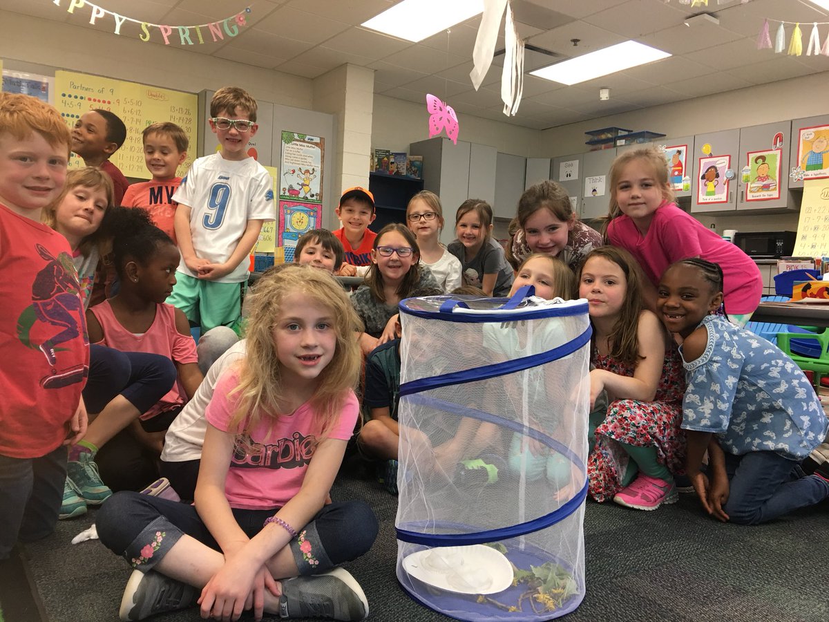 Filipsclass's tweet photo. First Graders making a Butterfly Habitat today. @Jyouanes_ADDAMS #AddamsLearners #science https://t.co/x7JV85ROjh