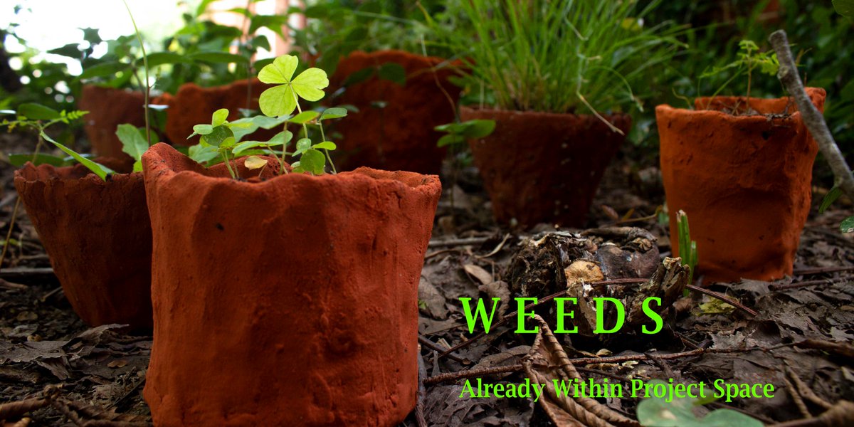 BylineHouston's tweet photo. Maria Bang Espersen’s New Art Project Focuses on the Wild Weeds of Midtown
https://t.co/UAVBr0sHaP https://t.co/cUshM2tnuY