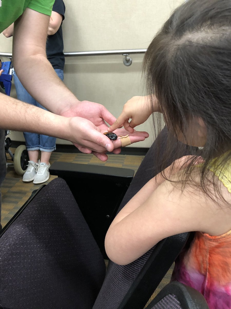 teach_withMrsV's tweet photo. Snakes, lizards, turtles, and bears...OH MY! We had a blast on our NWSRA trip today! We got to pet so many different animals! Some of our friends were even brave enough to touch a hissing cockroach! (Definitely WAS NOT me 🙅🏽‍♀️) #NWSRA #BeStevenson https://t.co/uDWmN26nIY