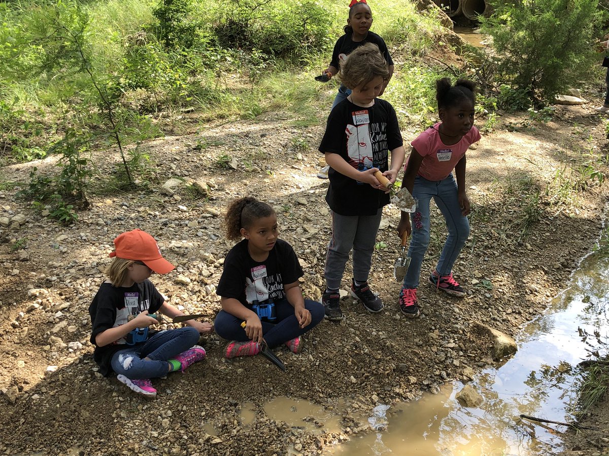 evelynbkane's tweet photo. #HatfieldElem #firsties had a fun day playing in the Soil Lab at the #OLC today! Thank you @OutdoorAmy! @Hatfieldcougars https://t.co/ot7ODria8P