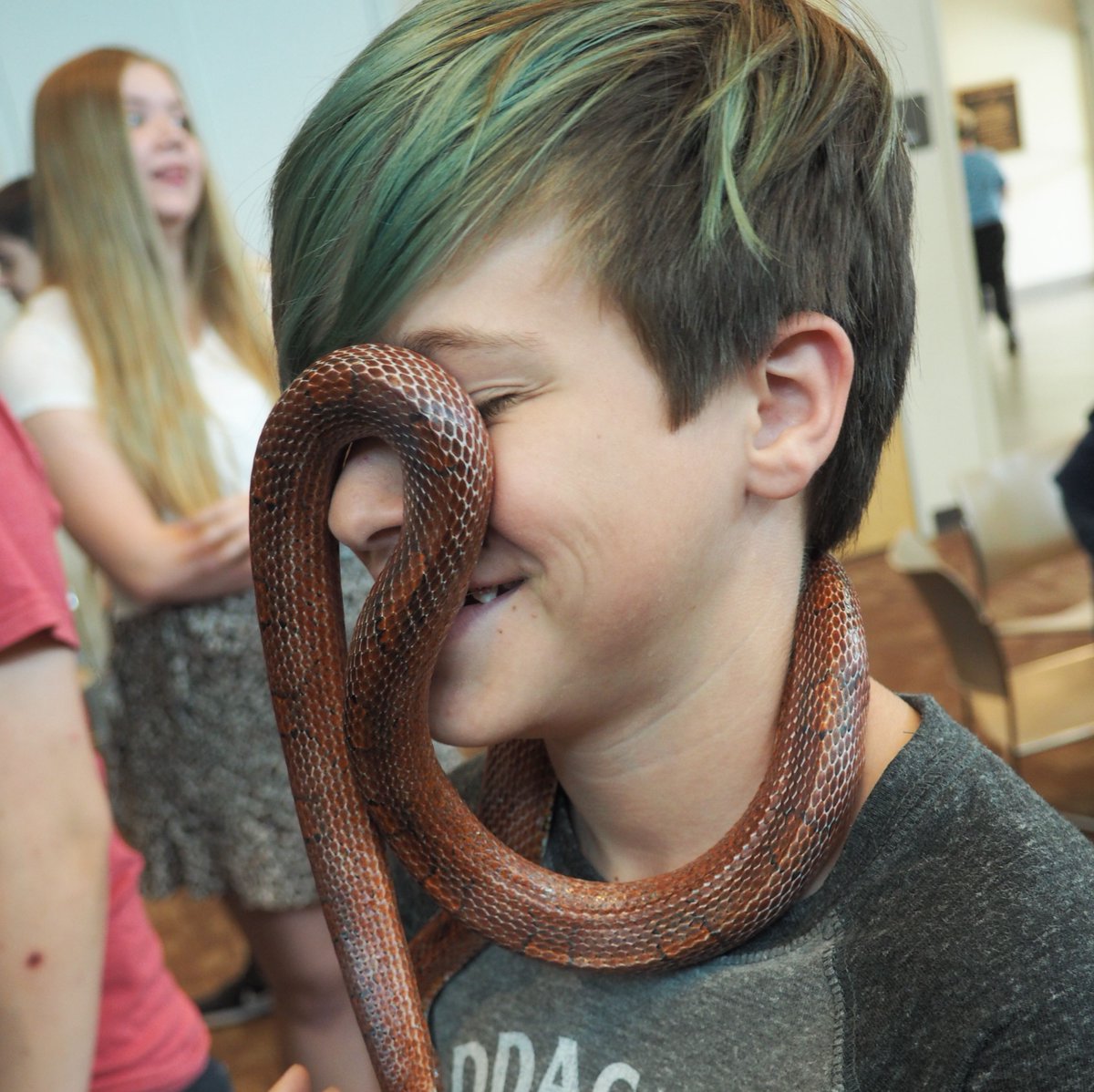 PflugervilleLib's tweet image. Teens had a great time at yesterday's Reptile Hangout with @ATXReptileShows. Check out the library calendar to see what the library has coming up for teens this summer bit.ly/2zz3Bgo. #yessnakes #snek #snakecuddles #destress