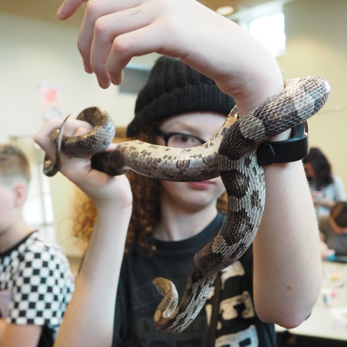 PflugervilleLib's tweet image. Teens had a great time at yesterday's Reptile Hangout with @ATXReptileShows. Check out the library calendar to see what the library has coming up for teens this summer bit.ly/2zz3Bgo. #yessnakes #snek #snakecuddles #destress