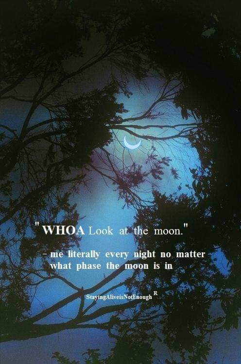 AbbyFeferman's tweet photo. So true. #moon #beautiful #love #lookup https://t.co/hkBGo2eyXN
