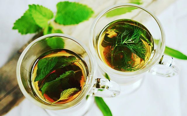 Une petite boisson chaude pour éliminer les toxines et se coucher en se sentant régénérer 😍😍 quoi de mieux 😍😍 Et vous c’est quoi votre rituel du couché ❓ ❓😜 Je vous attend dans les commentaires ⬇️⬇️⬇️ #thé #boissonchaude #verveine #tisane #eaucha… bit.ly/2VNVhCm