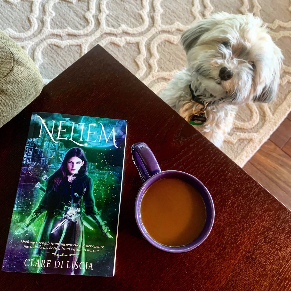 KFThorsness's tweet image. Baxter is so excited @diliclare’s debut arrived today!
💚💜💚
Can’t wait to jump into this gorgeous book!
#neliem #novel19s #month9books #bookishdogs #havanese #month9squad