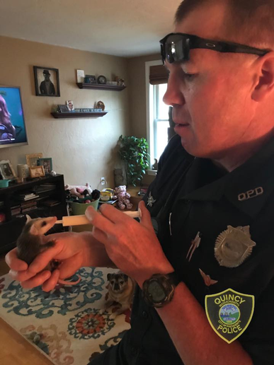 PoliceMag's tweet photo. Massachusetts Officer Rescues Baby Opossum, Names Him Stone Cold Steve Opossum #policemag #OfficerKindness #StoneColdSteve #QuincyPD https://t.co/si4urlSP77 https://t.co/gDhm8EHcCs